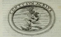 An illustration from Dell'imprese di Scipion Bargagli, gentil'hvomo sanese. Alla prima parte, la seconda e la terza nuovamente aggiunte, dove doppo tutte l'opere cosi scritte a penna, come stampate, ch'egli potuto ha leggendo vedere di coloro, che della materia dell'imprese hanno parlato; della vera natura di quelle si ragiona (1594)