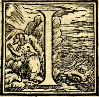 An illustration from Dell'imprese ... dopo tutte l'opera cosi a penna, come a stampa, ch'egli ha potuto vedere di coloro, che della materia dell'imprese hanno parlato; della vera natura di quelle si ragiona (1578)