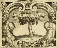 Picture 242 of 276 from Dell' imprese pastorali (1685), leaf 1040