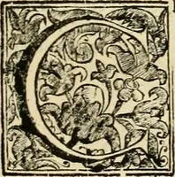An illustration from Dell' imprese pastorali (1685)