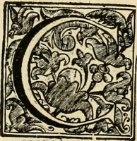 An illustration from Dell' imprese pastorali (1685)