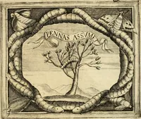 Picture 108 of 276 from Dell' imprese pastorali (1685), leaf 440