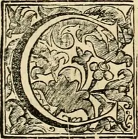 An illustration from Dell' imprese pastorali (1685)
