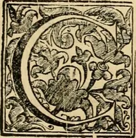 An illustration from Dell' imprese pastorali (1685)