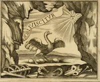 Picture 174 of 276 from Dell' imprese pastorali (1685), leaf 746