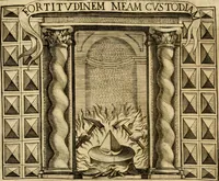 Picture 232 of 276 from Dell' imprese pastorali (1685), leaf 995