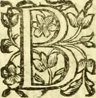 An illustration from Dell 'istoria di Ferrara scritta dal dottore D. Girolamo Baruffaldi Ferrarese libri nove : ne' quali diffusamente si narrano le cose avvenute in essa dall'anno MDCLV fino al MDCC con gli argomenti à ciascun libro, e due tavole, de'nomi proprj, e delle materie (1700)