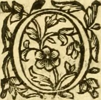 An illustration from Dell 'istoria di Ferrara scritta dal dottore D. Girolamo Baruffaldi Ferrarese libri nove : ne' quali diffusamente si narrano le cose avvenute in essa dall'anno MDCLV fino al MDCC con gli argomenti à ciascun libro, e due tavole, de'nomi proprj, e delle materie (1700)