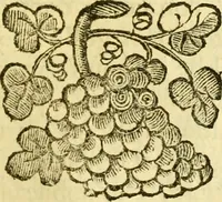 Picture 27 of 35 from Dell 'istoria di Ferrara scritta dal dottore D. Girolamo Baruffaldi Ferrarese libri nove : ne' quali diffusamente si narrano le cose avvenute in essa dall'anno MDCLV fino al MDCC con gli argomenti à ciascun libro, e due tavole, de'nomi proprj, e delle materie (1700), leaf 368