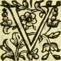 An illustration from Dell 'istoria di Ferrara scritta dal dottore D. Girolamo Baruffaldi Ferrarese libri nove : ne' quali diffusamente si narrano le cose avvenute in essa dall'anno MDCLV fino al MDCC con gli argomenti à ciascun libro, e due tavole, de'nomi proprj, e delle materie (1700)