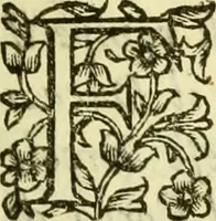 An illustration from Dell 'istoria di Ferrara scritta dal dottore D. Girolamo Baruffaldi Ferrarese libri nove : ne' quali diffusamente si narrano le cose avvenute in essa dall'anno MDCLV fino al MDCC con gli argomenti à ciascun libro, e due tavole, de'nomi proprj, e delle materie (1700)
