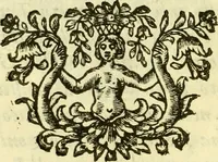 An illustration from Dell 'istoria di Ferrara scritta dal dottore D. Girolamo Baruffaldi Ferrarese libri nove : ne' quali diffusamente si narrano le cose avvenute in essa dall'anno MDCLV fino al MDCC con gli argomenti à ciascun libro, e due tavole, de'nomi proprj, e delle materie (1700)