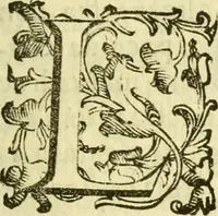 An illustration from Dell 'istoria di Ferrara scritta dal dottore D. Girolamo Baruffaldi Ferrarese libri nove : ne' quali diffusamente si narrano le cose avvenute in essa dall'anno MDCLV fino al MDCC con gli argomenti à ciascun libro, e due tavole, de'nomi proprj, e delle materie (1700)