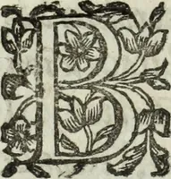 An illustration from Dell'istoria di Ferrara (1700)