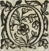 An illustration from Dell'istoria di Ferrara (1700)