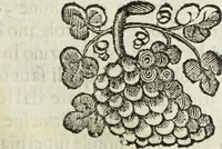 An illustration from Dell'istoria di Ferrara (1700)