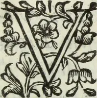 An illustration from Dell'istoria di Ferrara (1700)