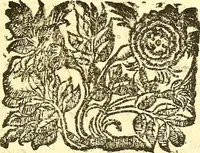 An illustration from Dell 'istoria di Mantova, libri cinque : scritta in commentari da Mario Equicola d'Alveto. Nella quale cominciadosi dall'edificatione de esse città breuemente si raccontano tutte le cose più notabili successe di tempo in tempo cosi in pace, come guerra. Riformata secondo l'vso moderno di scriuere istorie (1610)