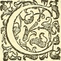 Picture 13 of 27 from Dell 'istoria di Mantova, libri cinque : scritta in commentari da Mario Equicola d'Alveto. Nella quale cominciadosi dall'edificatione de esse città breuemente si raccontano tutte le cose più notabili successe di tempo in tempo cosi in pace, come guerra. Riformata secondo l'vso moderno di scriuere istorie (1610), leaf 135