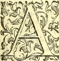 An illustration from Dell 'istoria di Mantova, libri cinque : scritta in commentari da Mario Equicola d'Alveto. Nella quale cominciadosi dall'edificatione de esse città breuemente si raccontano tutte le cose più notabili successe di tempo in tempo cosi in pace, come guerra. Riformata secondo l'vso moderno di scriuere istorie (1610)