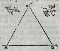 An illustration from Dello squadro : trattato (1625)