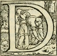 Picture 6 of 24 from Del modo di fortificar le città : trattato (1554), leaf 20