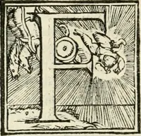 Picture 8 of 24 from Del modo di fortificar le città : trattato (1554), leaf 25