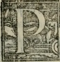Picture 115 of 236 from Del modo di misvrare : le distantie, le superficie, i corpi, le piante, le prouincie, le prospettiue, & tutte le altre cose terrene, che possono occorrere a gli huomini, secondo le uere regole d'Euclide, & de gli altri piu lodati scrittori (1564), leaf 139