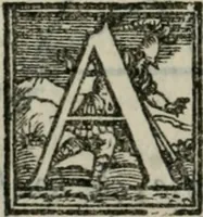 Picture 116 of 236 from Del modo di misvrare : le distantie, le superficie, i corpi, le piante, le prouincie, le prospettiue, & tutte le altre cose terrene, che possono occorrere a gli huomini, secondo le uere regole d'Euclide, & de gli altri piu lodati scrittori (1564), leaf 139