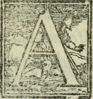 Picture 124 of 236 from Del modo di misvrare : le distantie, le superficie, i corpi, le piante, le prouincie, le prospettiue, & tutte le altre cose terrene, che possono occorrere a gli huomini, secondo le uere regole d'Euclide, & de gli altri piu lodati scrittori (1564), leaf 144