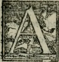 Picture 8 of 236 from Del modo di misvrare : le distantie, le superficie, i corpi, le piante, le prouincie, le prospettiue, & tutte le altre cose terrene, che possono occorrere a gli huomini, secondo le uere regole d'Euclide, & de gli altri piu lodati scrittori (1564), leaf 15
