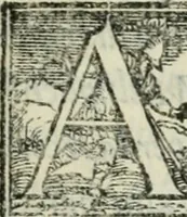 An illustration from Del modo di misvrare : le distantie, le superficie, i corpi, le piante, le prouincie, le prospettiue, & tutte le altre cose terrene, che possono occorrere a gli huomini, secondo le uere regole d'Euclide, & de gli altri piu lodati scrittori (1564)