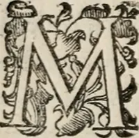 An illustration from Del modo di misvrare le distantie, le superficie, i corpi, le piante, le prouincie, le prospettiue, & tutte le altre cose terrene, che possono occorrere à gli huomini, secondo le vere regole d'Euclide, & de gli altri più lodati scrittori. Dedicata all'illvstrissimo, et eccellentissimo signore, il sig. Cosimo de Medici .. (1614)