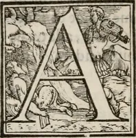 An illustration from Del modo di misvrare le distantie, le superficie, i corpi, le piante, le prouincie, le prospettiue, & tutte le altre cose terrene, che possono occorrere à gli huomini, secondo le vere regole d'Euclide, & de gli altri più lodati scrittori. Dedicata all'illvstrissimo, et eccellentissimo signore, il sig. Cosimo de Medici .. (1614)