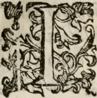 An illustration from Del modo di misvrare le distantie, le superficie, i corpi, le piante, le prouincie, le prospettiue, & tutte le altre cose terrene, che possono occorrere à gli huomini, secondo le vere regole d'Euclide, & de gli altri più lodati scrittori. Dedicata all'illvstrissimo, et eccellentissimo signore, il sig. Cosimo de Medici .. (1614)