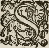 An illustration from Del modo di misvrare le distantie, le superficie, i corpi, le piante, le prouincie, le prospettiue, & tutte le altre cose terrene, che possono occorrere à gli huomini, secondo le vere regole d'Euclide, & de gli altri più lodati scrittori. Dedicata all'illvstrissimo, et eccellentissimo signore, il sig. Cosimo de Medici .. (1614)