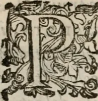 An illustration from Del modo di misvrare le distantie, le superficie, i corpi, le piante, le prouincie, le prospettiue, & tutte le altre cose terrene, che possono occorrere à gli huomini, secondo le vere regole d'Euclide, & de gli altri più lodati scrittori. Dedicata all'illvstrissimo, et eccellentissimo signore, il sig. Cosimo de Medici .. (1614)