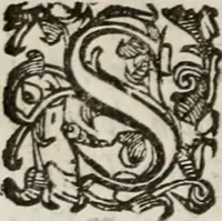 An illustration from Del modo di misvrare le distantie, le superficie, i corpi, le piante, le prouincie, le prospettiue, & tutte le altre cose terrene, che possono occorrere à gli huomini, secondo le vere regole d'Euclide, & de gli altri più lodati scrittori. Dedicata all'illvstrissimo, et eccellentissimo signore, il sig. Cosimo de Medici .. (1614)