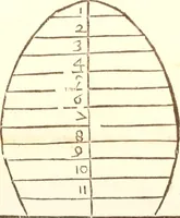 An illustration from Del modo di misvrare le distantie, le superficie, i corpi, le piante, le prouincie, le prospettiue, & tutte le altre cose terrene, che possono occorrere à gli huomini, secondo le vere regole d'Euclide, & de gli altri più lodati scrittori. Dedicata all'illvstrissimo, et eccellentissimo signore, il sig. Cosimo de Medici .. (1614)