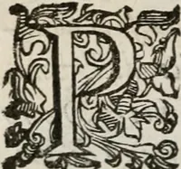 An illustration from Del modo di misvrare le distantie, le superficie, i corpi, le piante, le prouincie, le prospettiue, & tutte le altre cose terrene, che possono occorrere à gli huomini, secondo le vere regole d'Euclide, & de gli altri più lodati scrittori. Dedicata all'illvstrissimo, et eccellentissimo signore, il sig. Cosimo de Medici .. (1614)