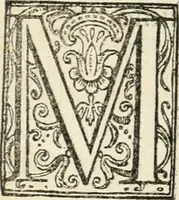 An illustration from Descrizzione de l'ordine della processione fatta la vigilia di san Giovanni Batista, l'anno MDLXXVII, dalle compagnie de giouani Fiorentini, per l'allegrezza del natale del serenissimo gran prencipe di Toscana (1577)