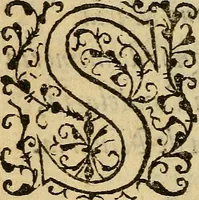 An illustration from Del origen y milagros de la Santa Imagen de nuestra Señora de Candelaria, que aparecio en la isla de Tenerife, con la descripcion de esta isla (1594)