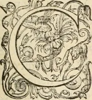 An illustration from De l'origine des bovrgongnons, et antiqvité des estats de Bovrgongne, devx livres : plus, des antiquitez d'Autun, liure 1 : de Chalon, 2 : de Mascon, 3 : de l'abbaye & ville de Tournus, 1 (1581)