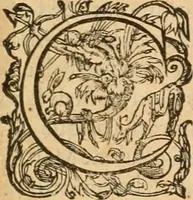 An illustration from De l'origine des bovrgongnons, et antiqvité des estats de Bovrgongne, devx livres : plus, des antiquitez d'Autun, liure 1 : de Chalon, 2 : de Mascon, 3 : de l'abbaye & ville de Tournus, 1 (1581)