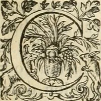 Picture 13 of 88 from De l'origine des bovrgongnons, et antiqvité des estats de Bovrgongne, devx livres : plus, des antiquitez d'Autun, liure 1 : de Chalon, 2 : de Mascon, 3 : de l'abbaye & ville de Tournus, 1 (1581), leaf 42