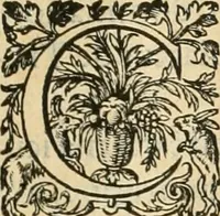 An illustration from De l'origine des bovrgongnons, et antiqvité des estats de Bovrgongne, devx livres : plus, des antiquitez d'Autun, liure 1 : de Chalon, 2 : de Mascon, 3 : de l'abbaye & ville de Tournus, 1 (1581)