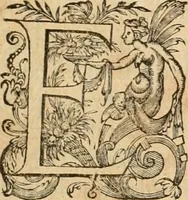 An illustration from De l'origine des bovrgongnons, et antiqvité des estats de Bovrgongne, devx livres : plus, des antiquitez d'Autun, liure 1 : de Chalon, 2 : de Mascon, 3 : de l'abbaye & ville de Tournus, 1 (1581)