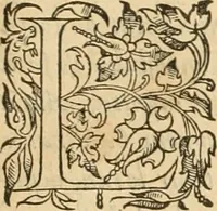 An illustration from De l'origine des bovrgongnons, et antiqvité des estats de Bovrgongne, devx livres : plus, des antiquitez d'Autun, liure 1 : de Chalon, 2 : de Mascon, 3 : de l'abbaye & ville de Tournus, 1 (1581)