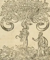 An illustration from De l'origine des bovrgongnons, et antiqvité des estats de Bovrgongne, devx livres : plus, des antiquitez d'Autun, liure 1 : de Chalon, 2 : de Mascon, 3 : de l'abbaye & ville de Tournus, 1 (1581)