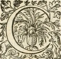 An illustration from De l'origine des bovrgongnons, et antiqvité des estats de Bovrgongne, devx livres : plus, des antiquitez d'Autun, liure 1 : de Chalon, 2 : de Mascon, 3 : de l'abbaye & ville de Tournus, 1 (1581)